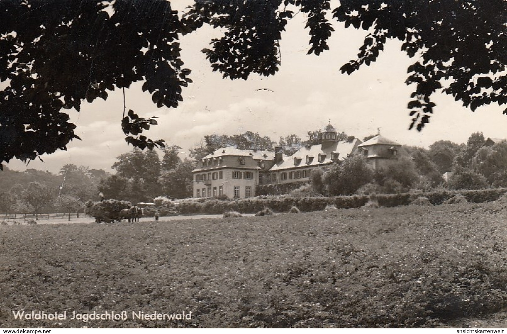 Waldhotel Jagdschloss Niederwald Bei Rüdesheim Ngl #D3254 - Autres & Non Classés