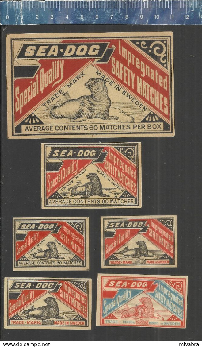 SEA DOG - (SEAL - PHOQUE - SIEGEL) -  OLD VINTAGE MATCHBOX LABELS MADE IN SWEDEN - Boites D'allumettes - Etiquettes