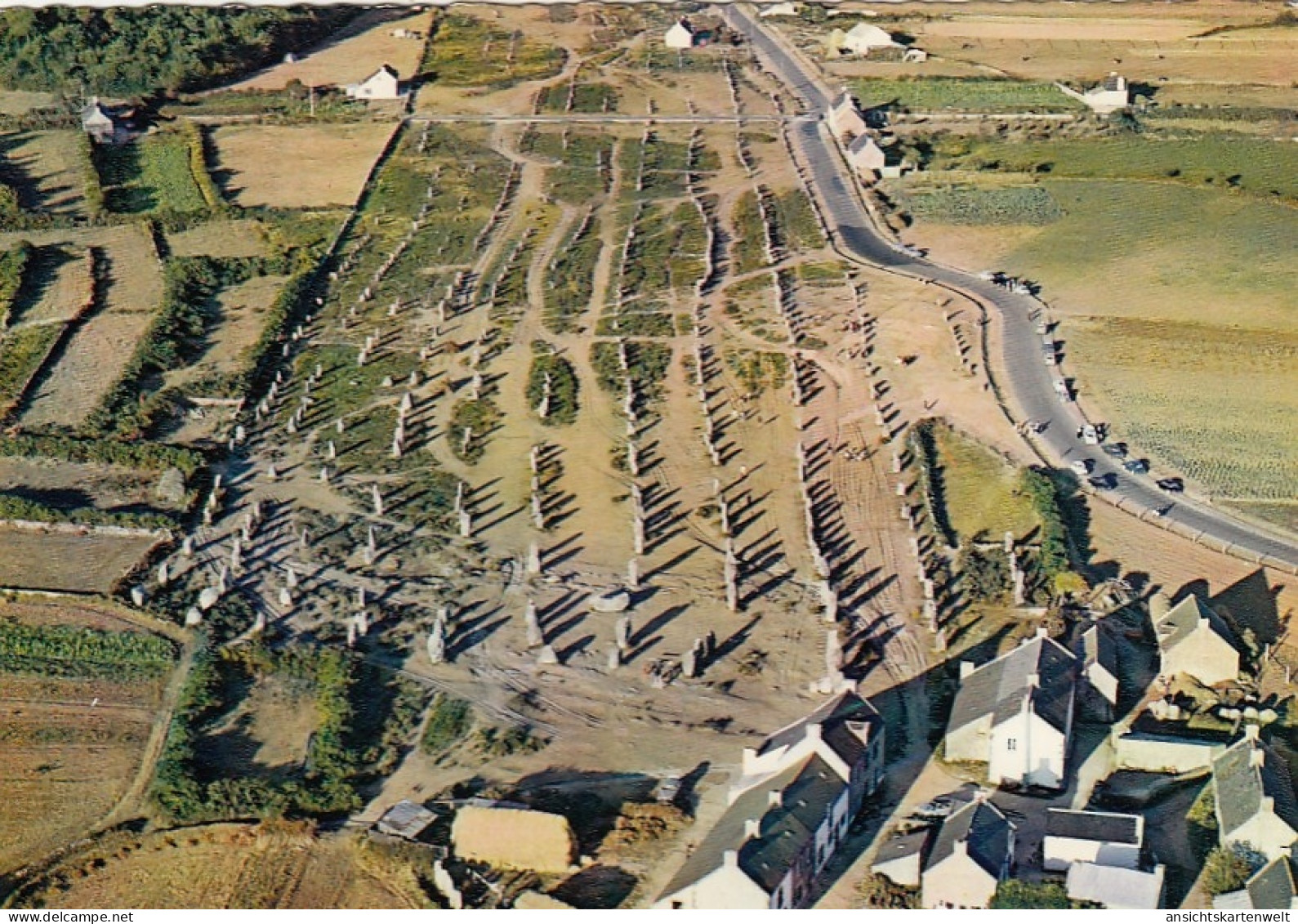 Carnac (Bret.), Les Alignements De Kermario Ngl #G4779 - Carnac