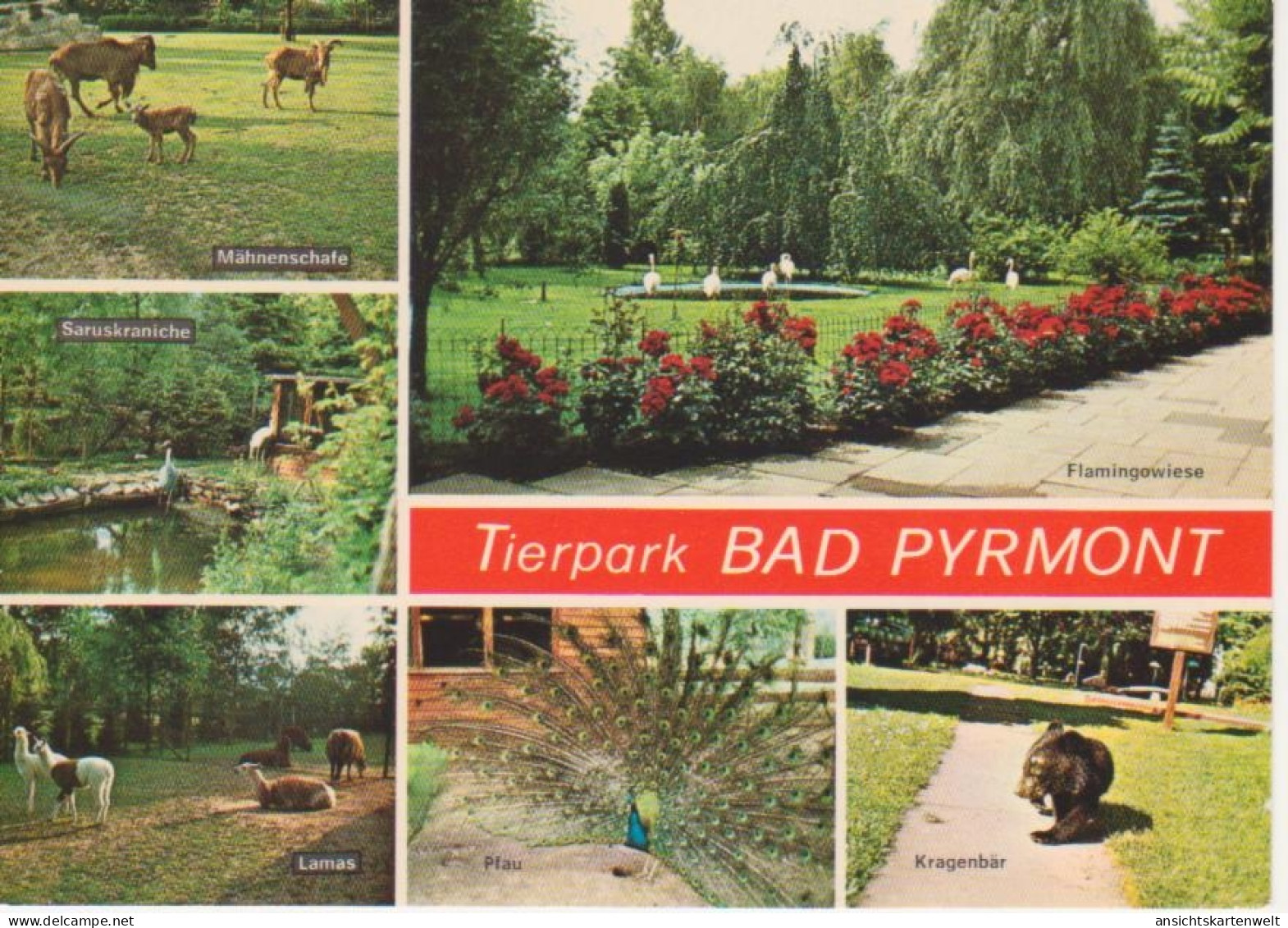 Bad Pyrmont Tierpark Mehrbildkarte Ngl #220.374 - Sonstige & Ohne Zuordnung