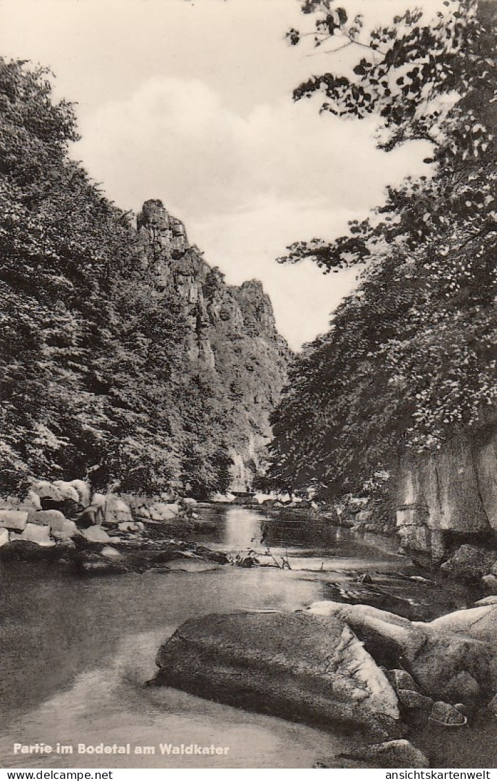 Partie Im Bodetal Am Waldkater Gl1972 #D5526 - Sonstige & Ohne Zuordnung