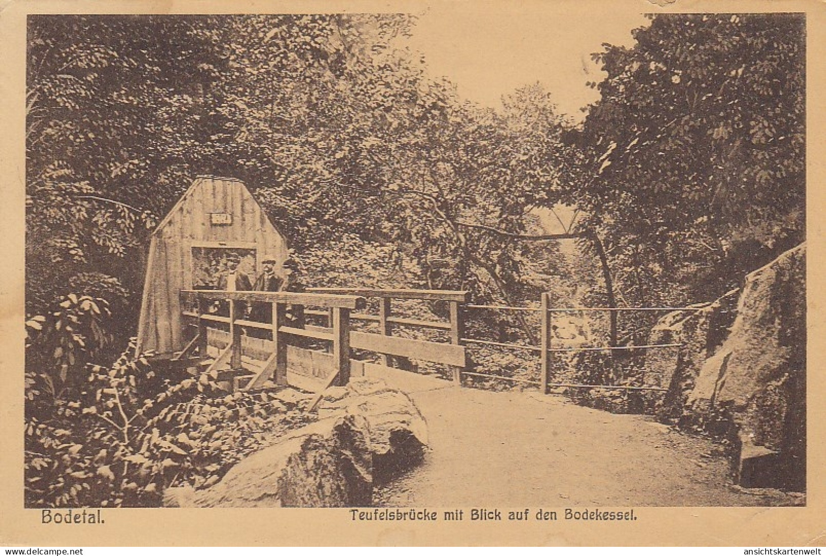 Bodetal Teufelsbrücke Ngl #D5965 - Sonstige & Ohne Zuordnung