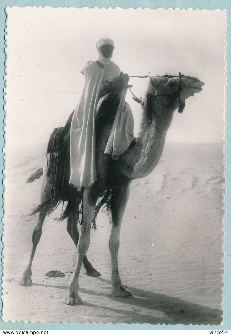 COLLECTION SAHARIENNE - Méhari De Course Et Son Conducteur - Westsahara