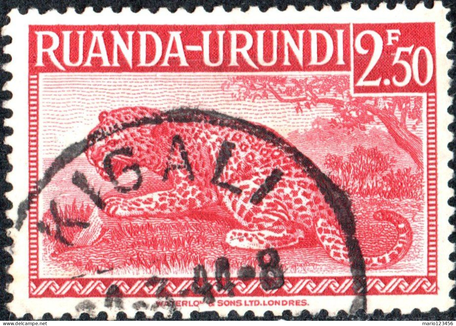 RUANDA-URUNDI, FAUNA, ANIMALI, LEOPARDO, 1942, USATI Mi:RW-U 92A, Scott:RW-U 81, Yt:RW-U 139 - Gebraucht