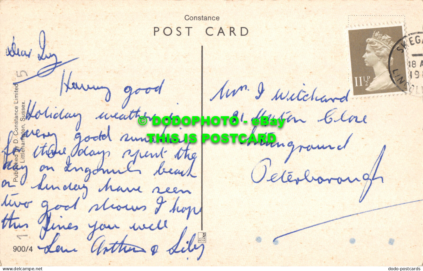 R528833 Dog. D. Constance. Vita Nova. Postcard - World