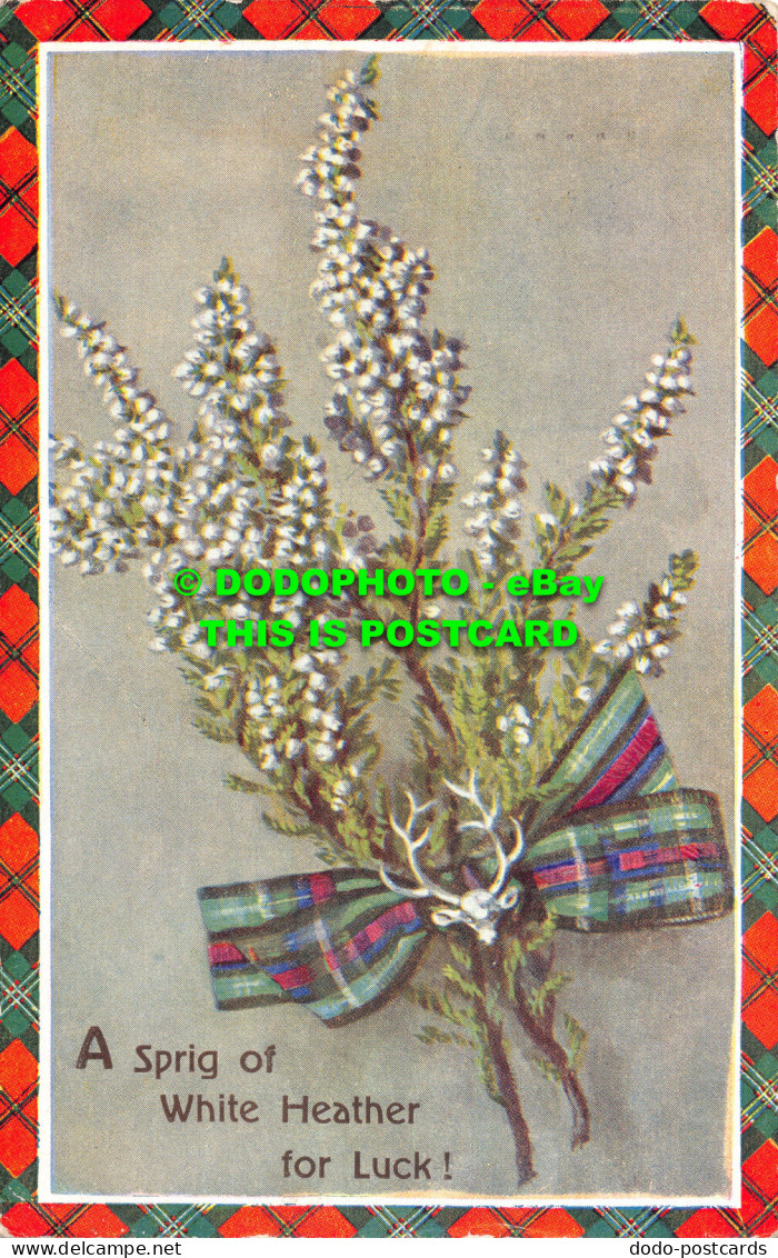R528269 A Spring Of White Heather For Luck. Valentine. Scottish Emblems - World