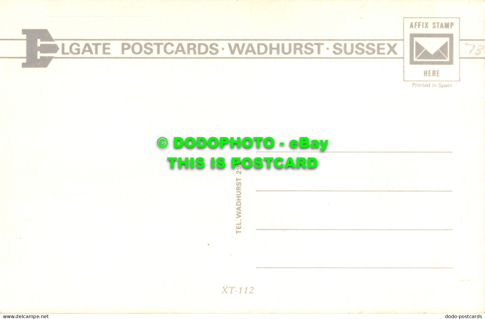 R528274 Black Horse. Elgate Postcards. Postcard - World