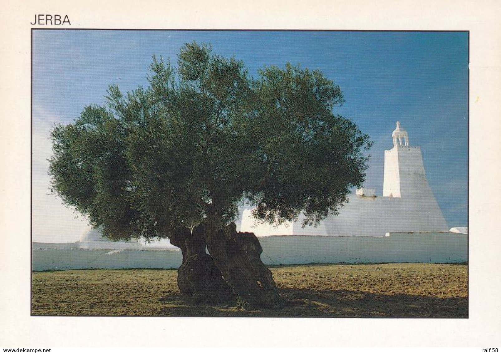 9 AK Tunesien * Ansichten Von Djerba (auch Jerba) - Dabei Auch Houmt Souk Der Hauptort Der Insel Djerba - Siehe  Scan * - Tunisie