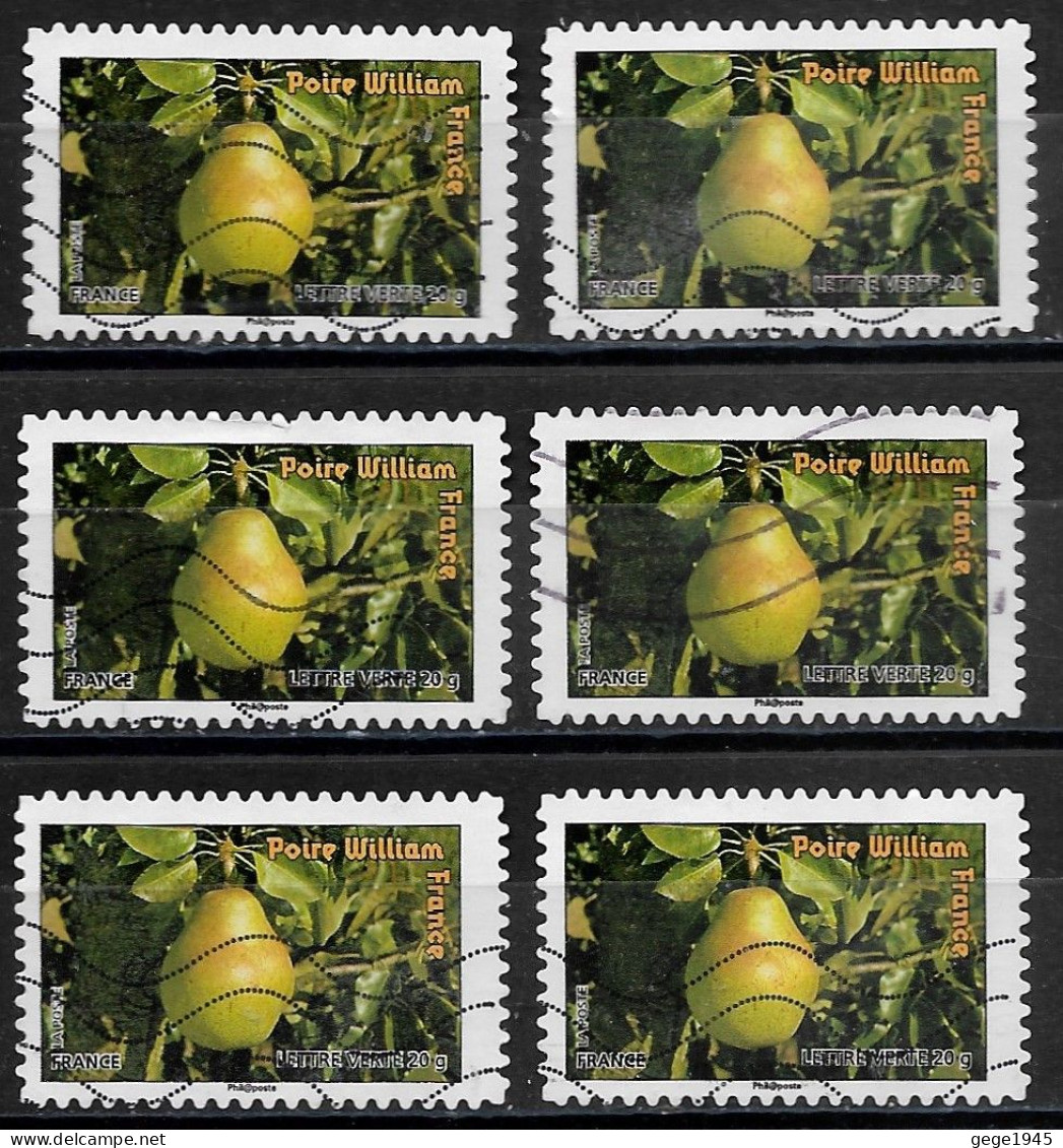 France 2012  Oblitéré Autoadhésif  N° 697  (  6 Exemplaires  )  -     Flore  -  Fruits De France Et  Du Monde - Oblitérés