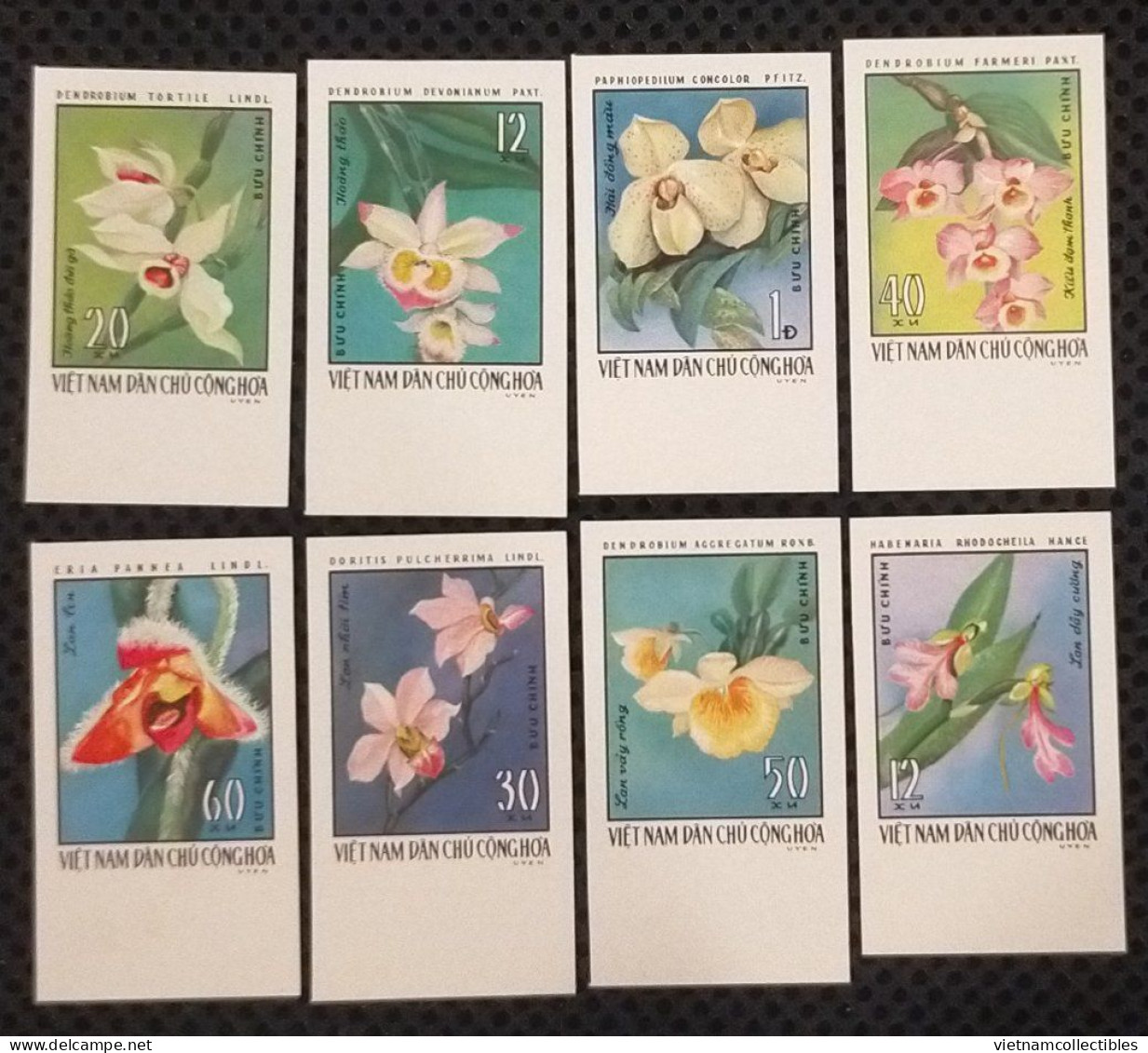 Vietnam Viet Nam MNH Imperf Stamps 1976 : Orchids / Orchid Flower / Flora (Ms312) - Vietnam