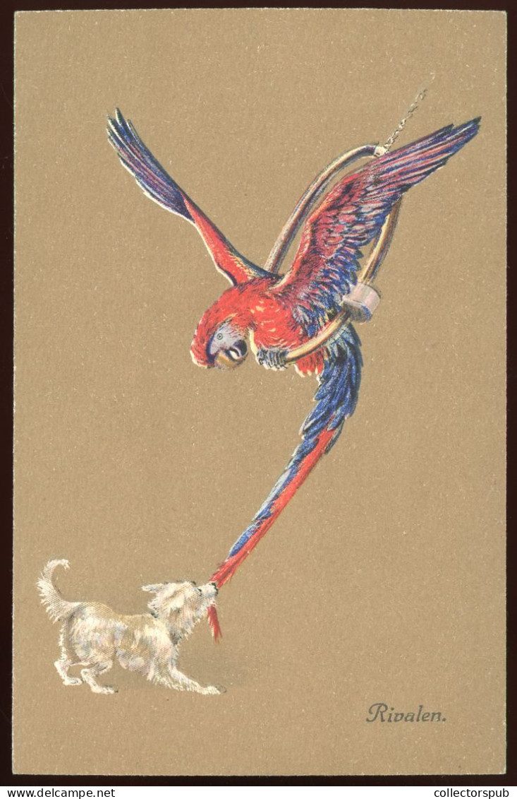 BIRD Vintage Signed Postcard  1915. Ca. B.K.W.I. - Oiseaux