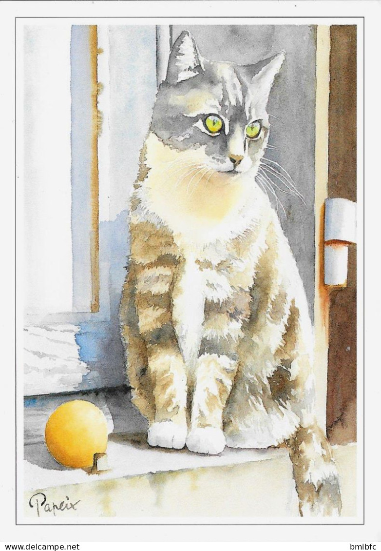 Aquarelle De Jean-Claude Papeix - Gatos