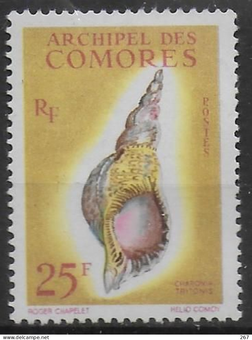 COMORES  N° 24 * * ( Cote 16e ) Coquillages - Conchiglie