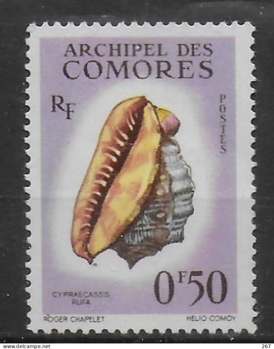 COMORES  N° 19 * *  Coquillages - Coneshells