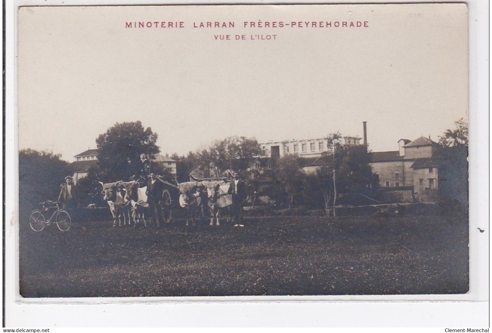 PEYREHORADE : Carte Photo De La Minoterie LARRAN Frères - Vue De L'ilot (attelages) - Très Bon état - Peyrehorade