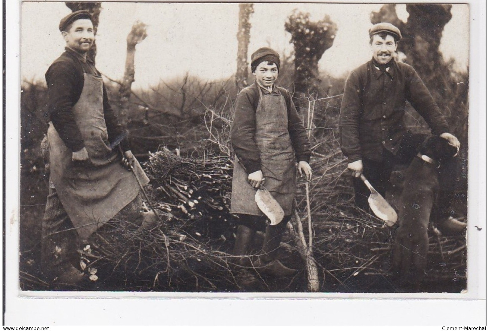 NEUVILLE : Nord Sarthe, Paiysans Coupants Du Bois - Très Bon état - Sonstige & Ohne Zuordnung