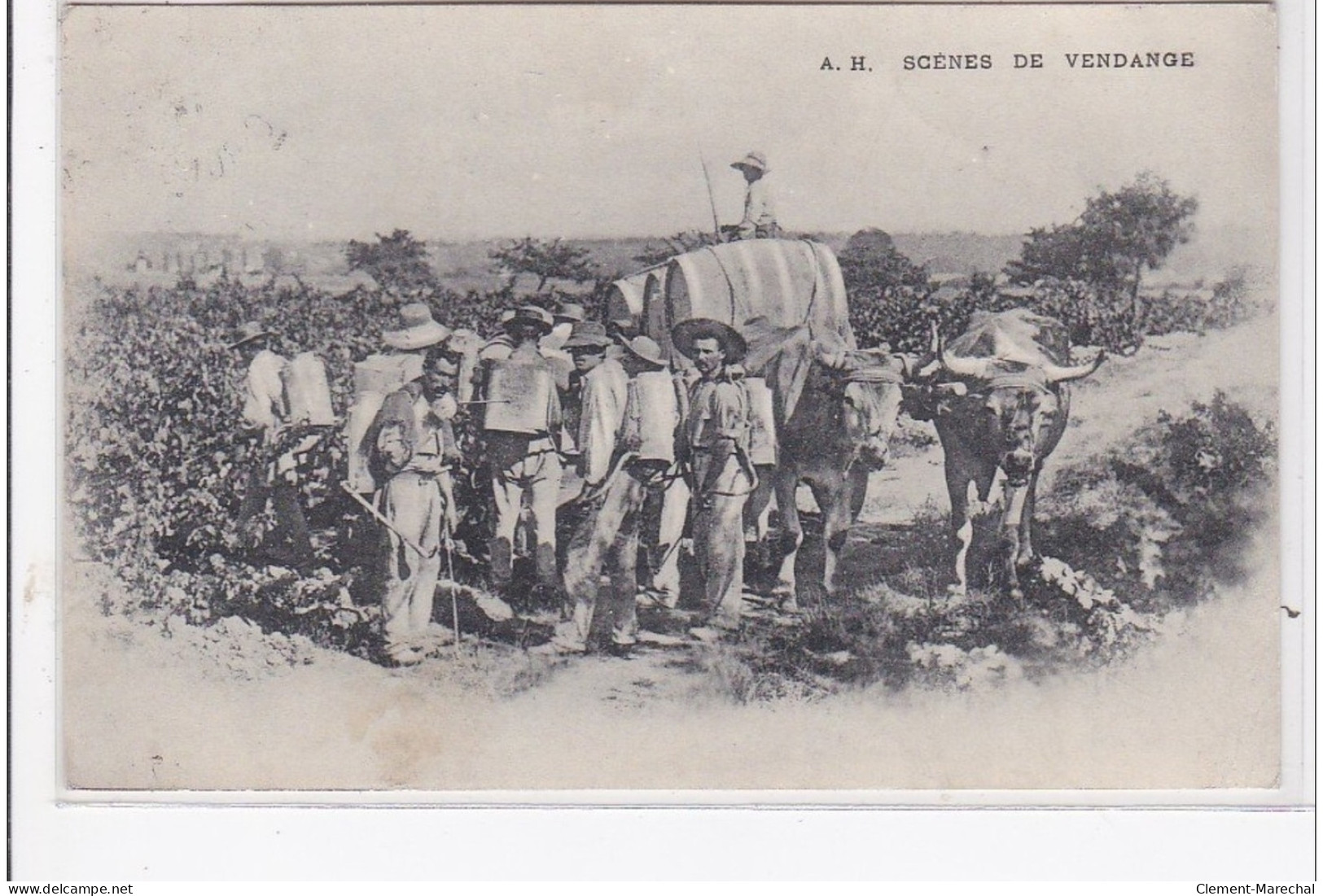 GIRONDE : Scènes De Vendange - Très Bon état - Other & Unclassified