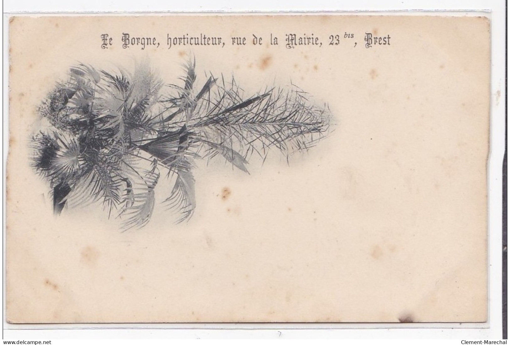 BREST : Le Borgne, Horticulteur, Rue De La Mairie 23bis, Brest - état - Brest