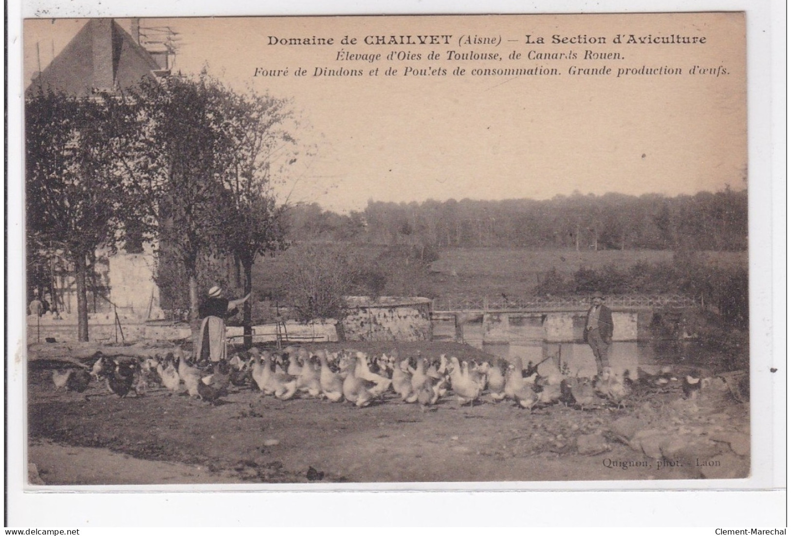 CHAILVET : Domaine De Chailvet, Elevage D'oies De Toulouse, De Canards Rouen - Tres Bon Etat - Altri & Non Classificati