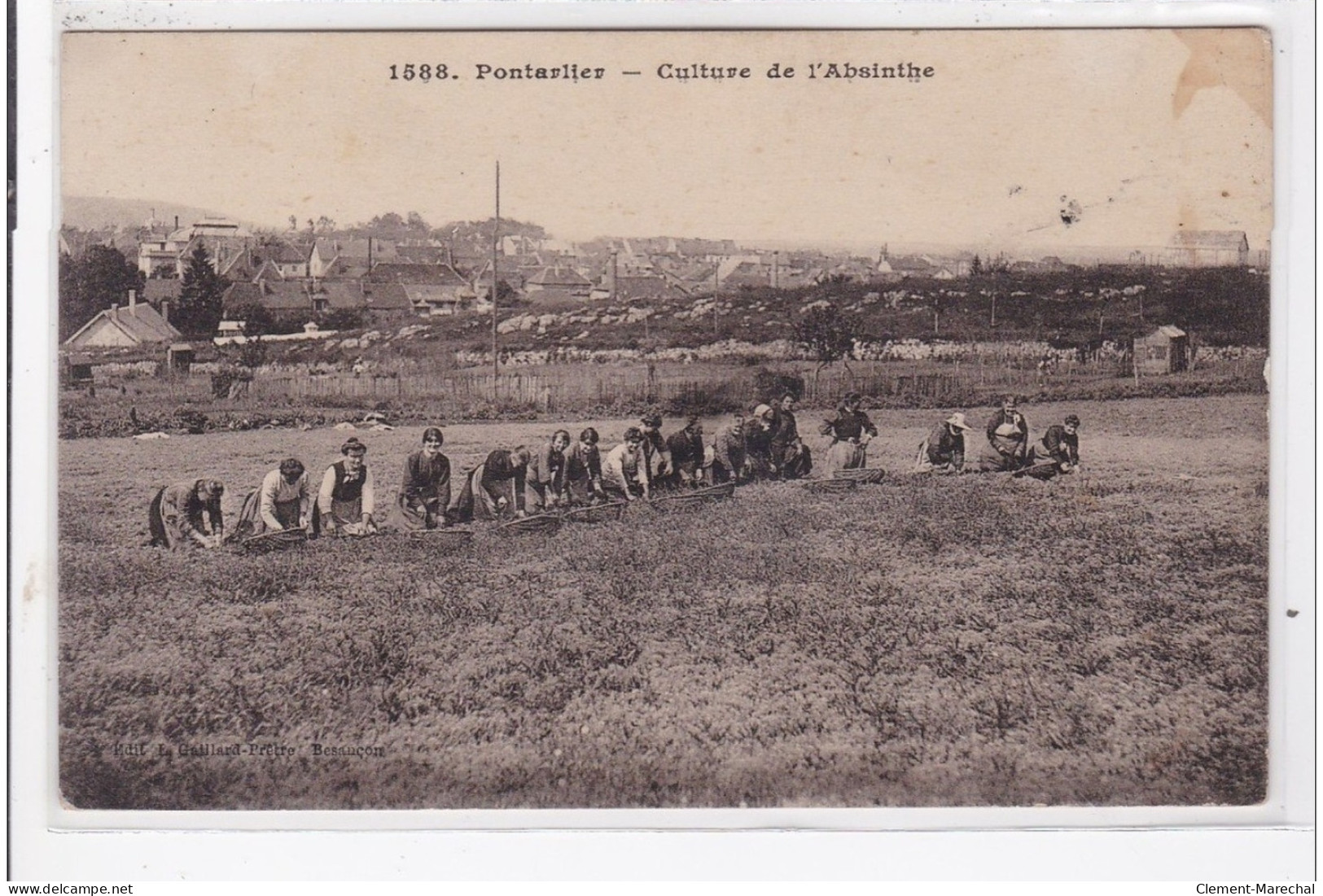 PONTARLIER : Culture De L'absinthe - état - Pontarlier