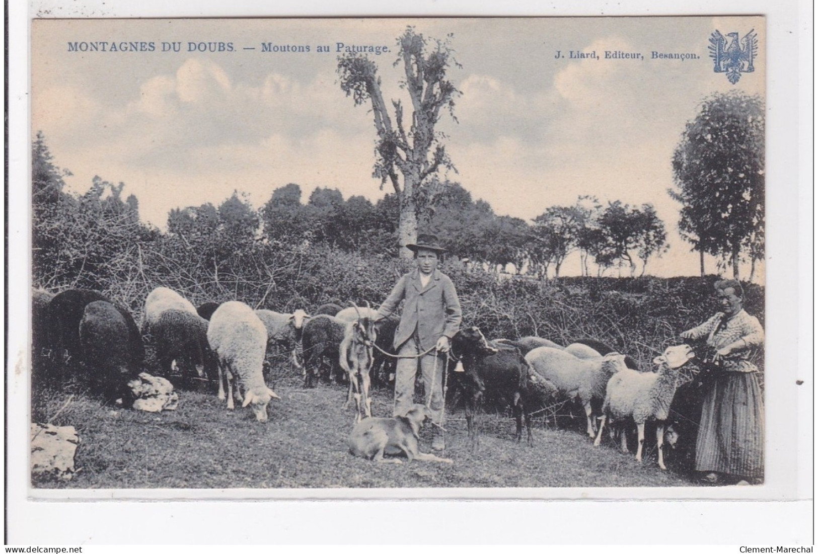 MONTAGNES-du-DOUBS : Moutons Au Paturage - Tres Bon Etat - Sonstige & Ohne Zuordnung