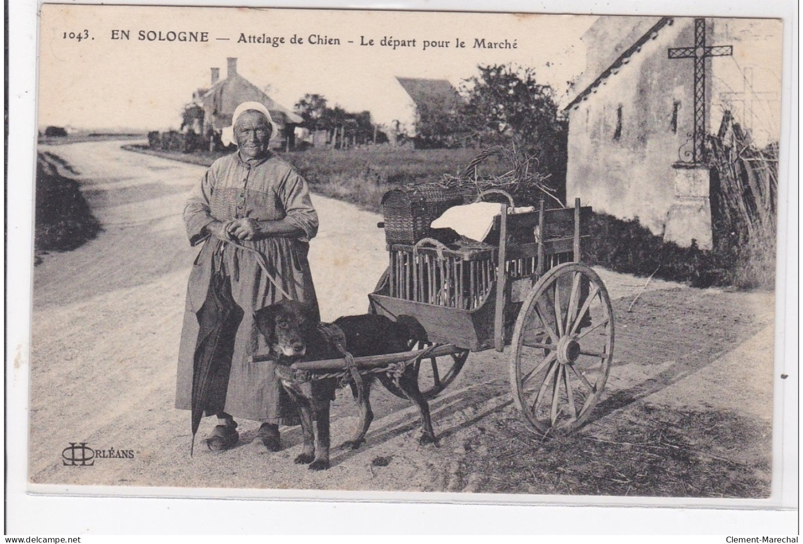 EN SOLOGNE : Attelage De Chien, Le Depart Pour Le Marché, Voiture à Chien - Tres Bon Etat - Autres & Non Classés