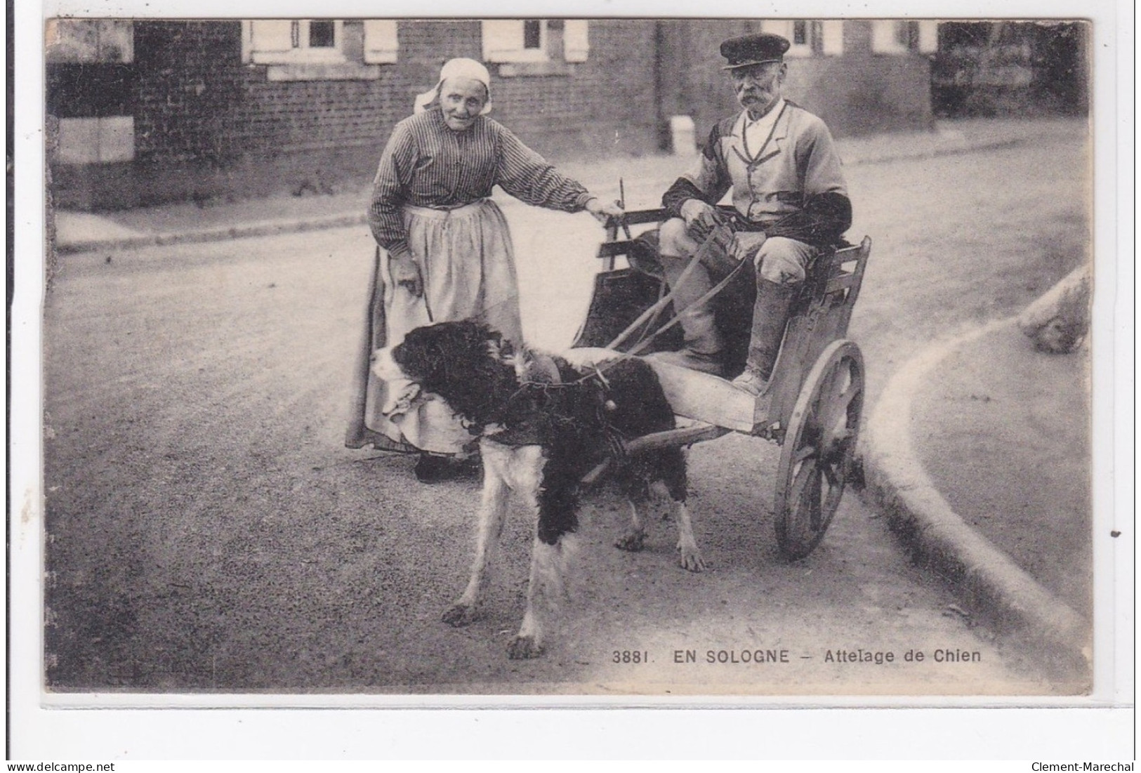 EN SOLOGNE : Attelage De Chien, Voiture à Chien - Tres Bon Etat - Other & Unclassified