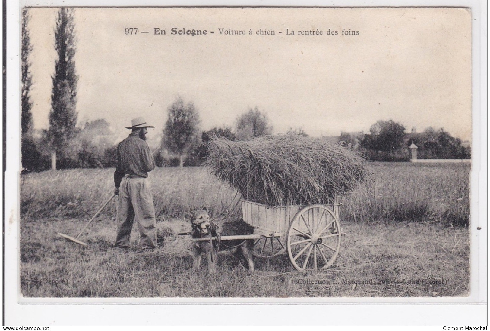 EN SOLOGNE : Voiture à Chien, La Rentrée Des Foins - Etat - Other & Unclassified