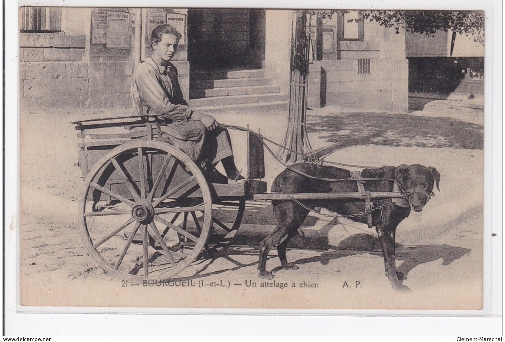 BOURGEUIL : Voiture à Chien, Attelage à Chien - Tres Bon Etat - Altri & Non Classificati