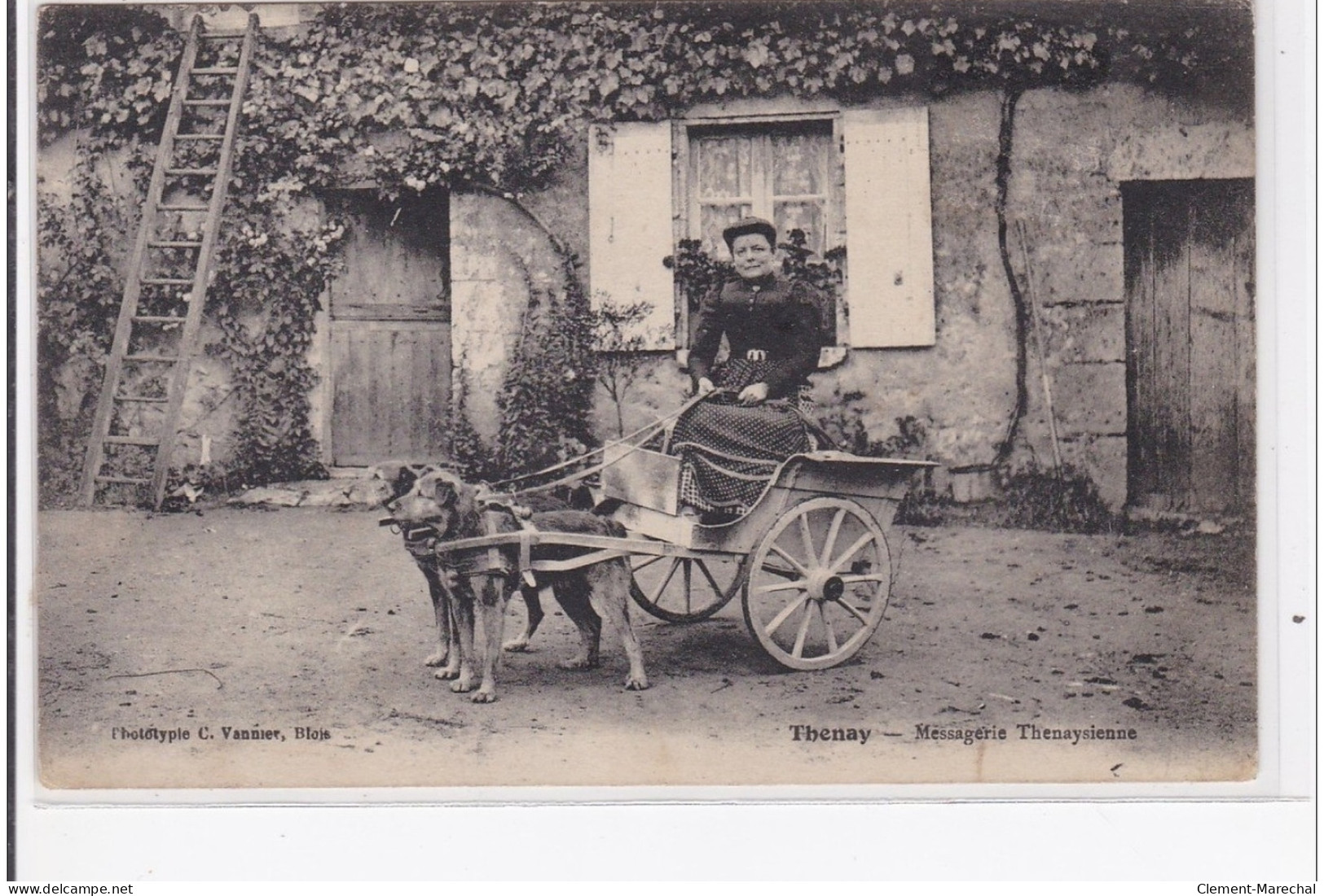 THENAY : Messagerie Thenaysienne (voiture à Chien) (édition Rare) - Très Bon état - Autres & Non Classés