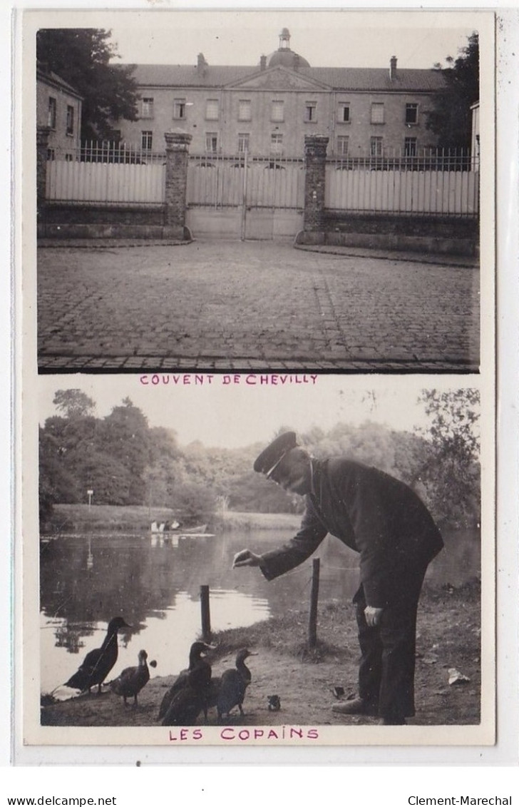 CHEVILLY-LARUE : Couvent De Cheville, Les Copains (canards) - Très Bon état - Chevilly Larue