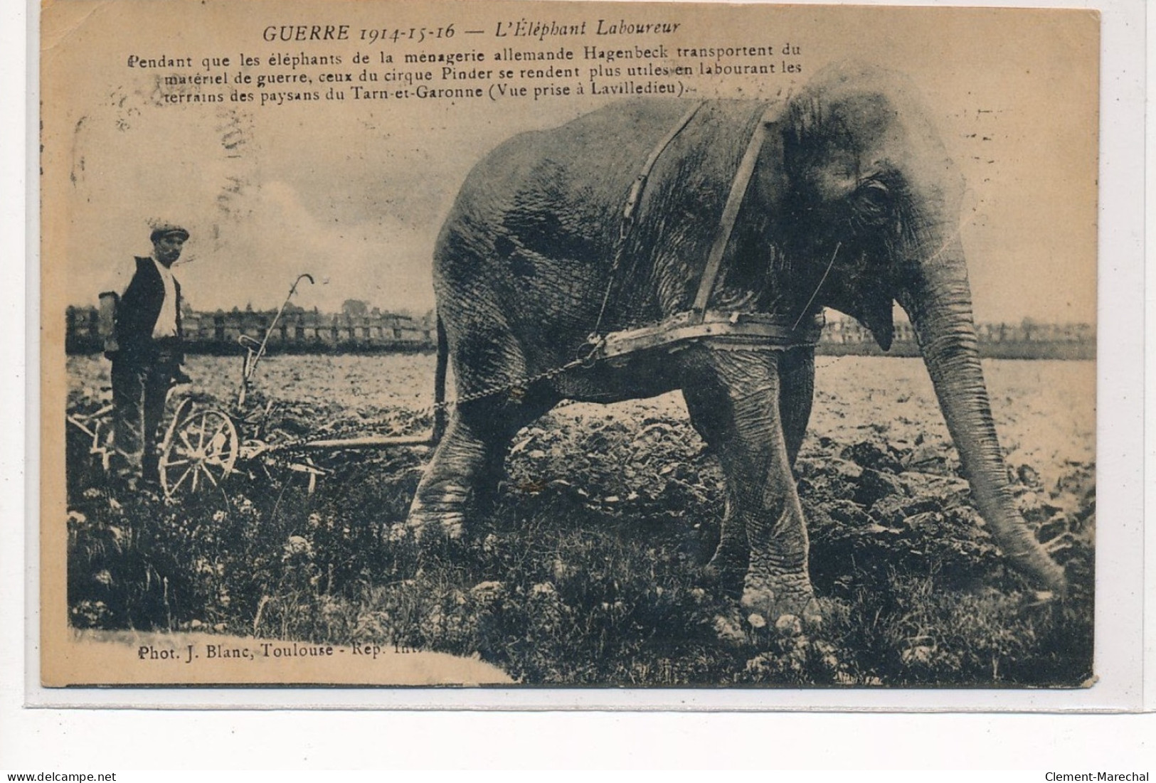 LAVILLEDIEU : L'elephant Laboureur, Ce Rendant Plus Utile à Labourer Qu'à Transporter Matériel De Guerre - Tres Bon Etat - Other & Unclassified