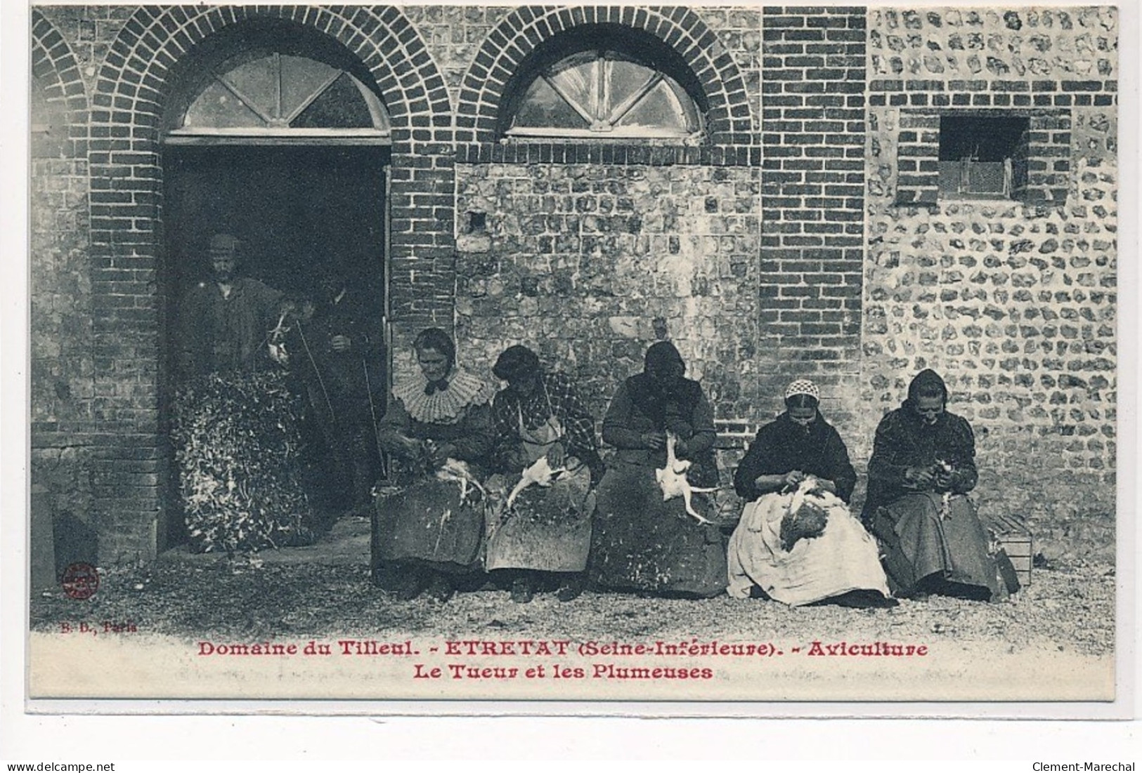 ETRETAT : Domaine Du Tilleul, Aviculture, Le Tueur Et Les Plumeuses - Très Bon état - Etretat