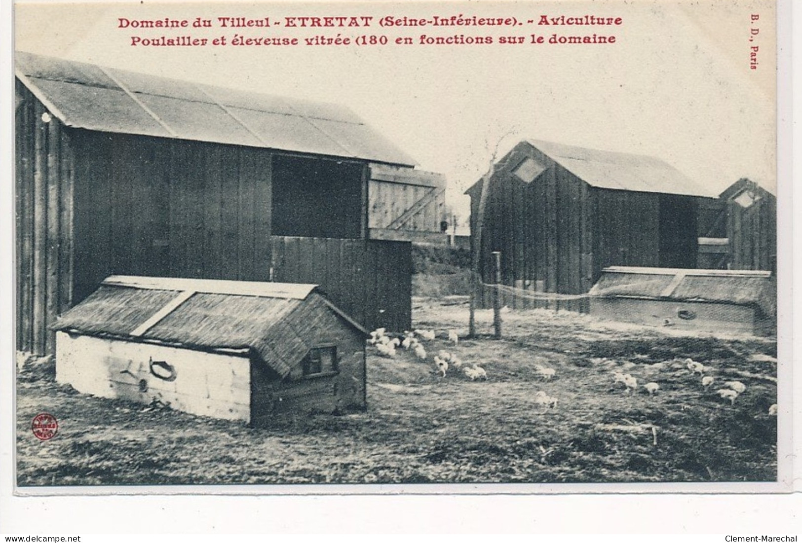 ETRETAT : Domaine Du Tilleul, Aviculture Poulailler Et Eleveuse Vitrée (180 En Fonctions Sur Le Domaine) - Très Bon état - Etretat