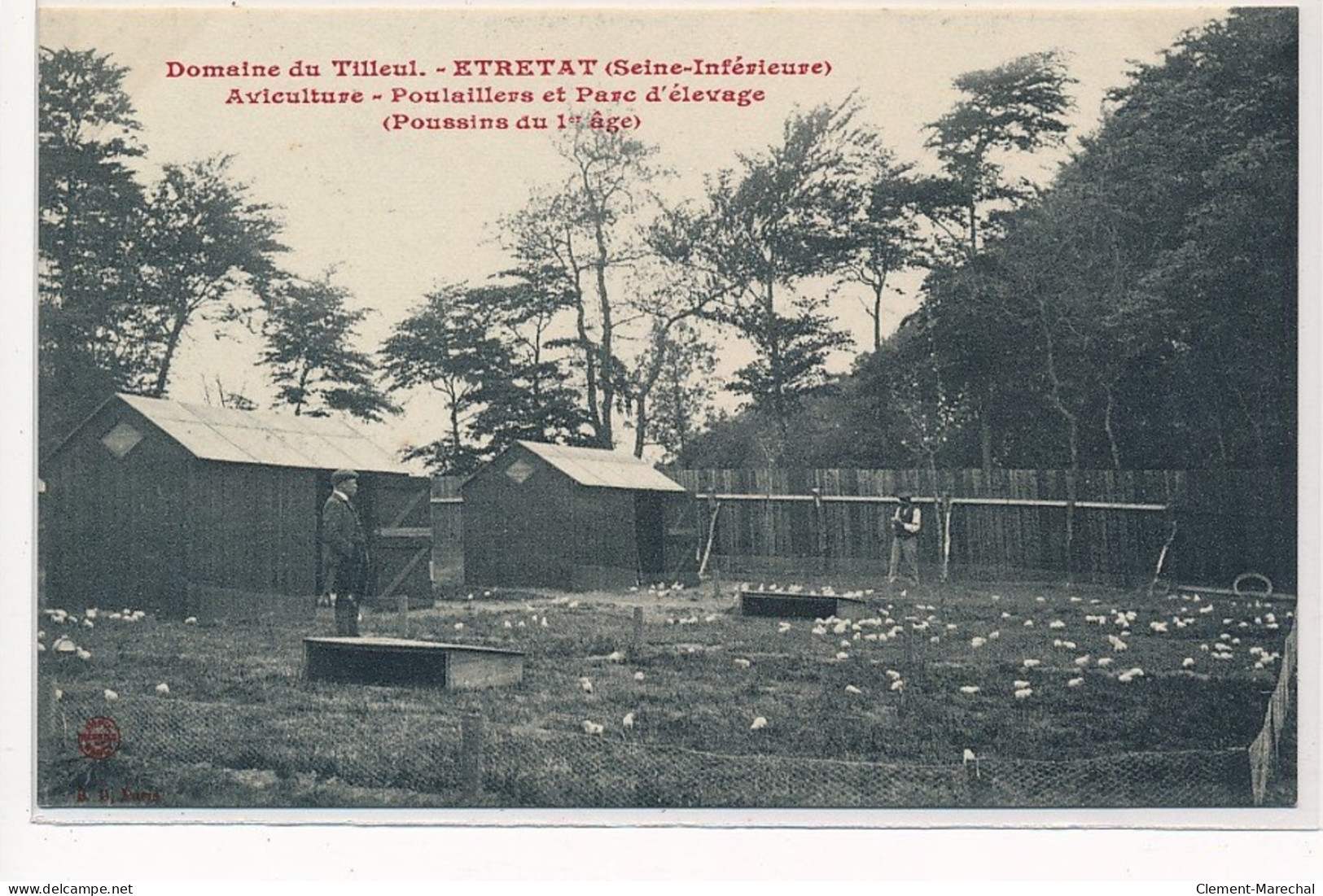 ETRETAT : Domaine Du Tilleul, Aviculture Poulaillers Et Parc D'elevage (poussins Du 1e Age) - Très Bon état - Etretat