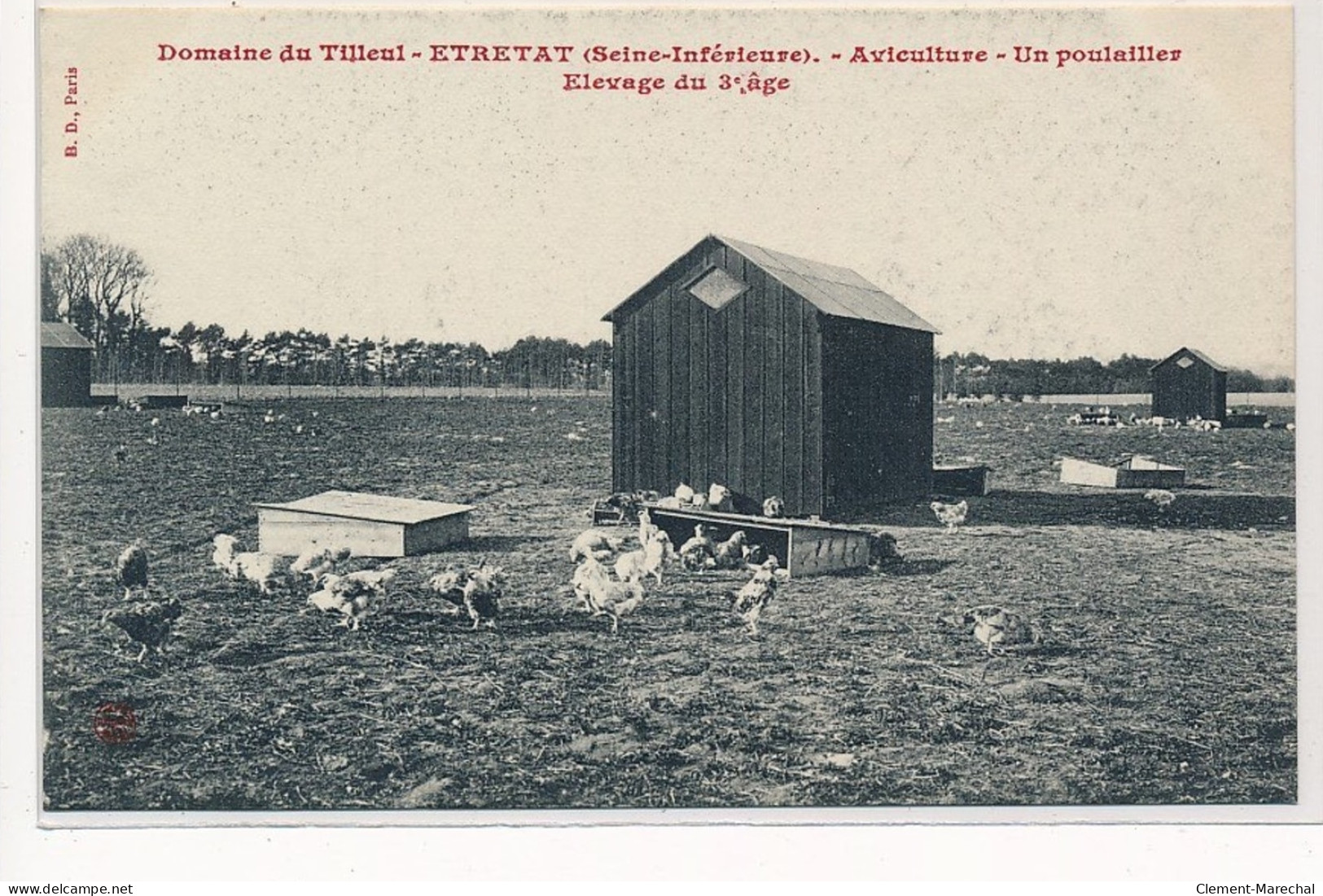 ETRETAT : Domaine Du Tilleul, Aviculture Un Poulailler Elevage Du 3e Age - Très Bon état - Etretat