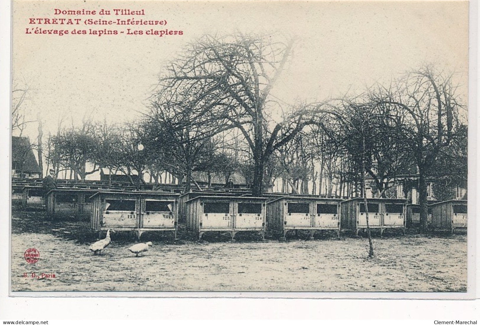 ETRETAT : Domaine Du Tilleul, L'elevage Des Lapins, Les Clapiers - Très Bon état - Etretat