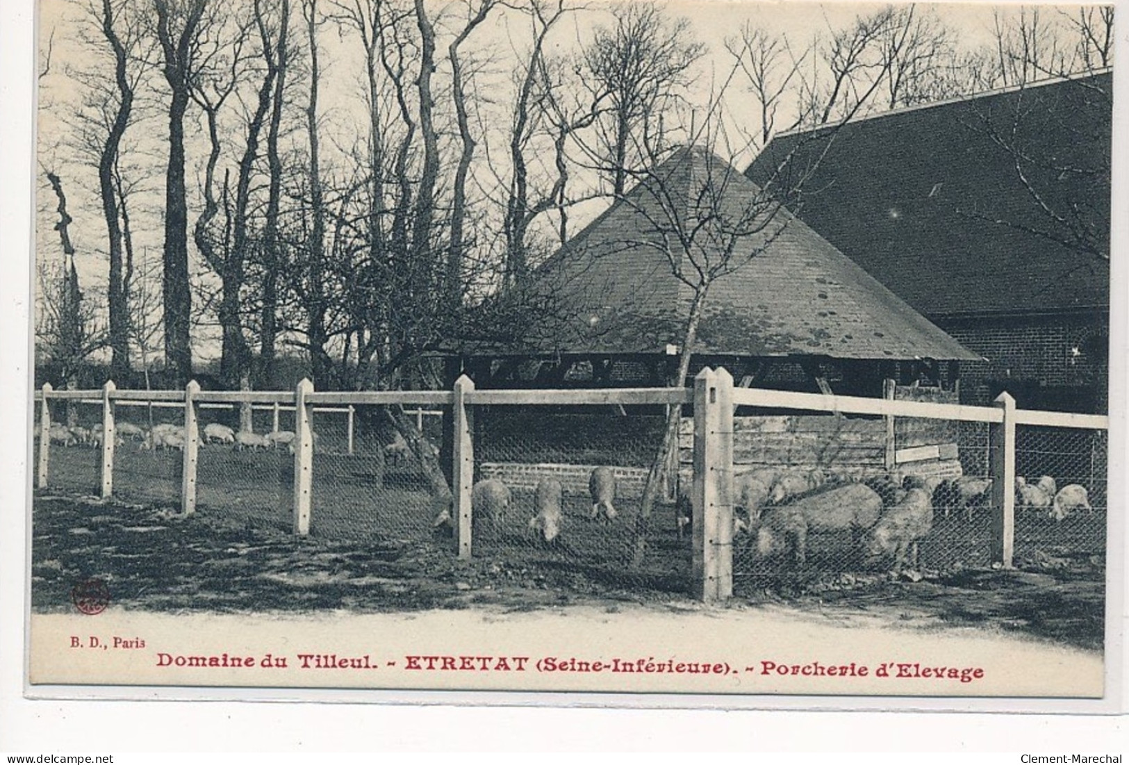 ETRETAT : Domaine Du Tilleul, Porcherie D'elevage - Très Bon état - Etretat