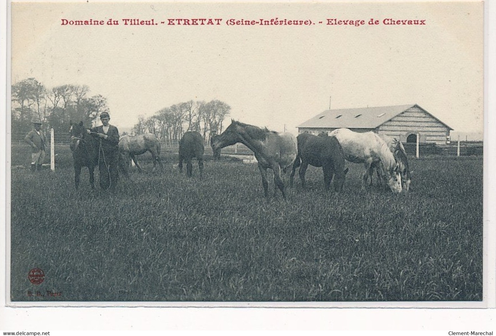 ETRETAT : Domaine Du Tilleul, Elevage De Chevaux - Très Bon état - Etretat