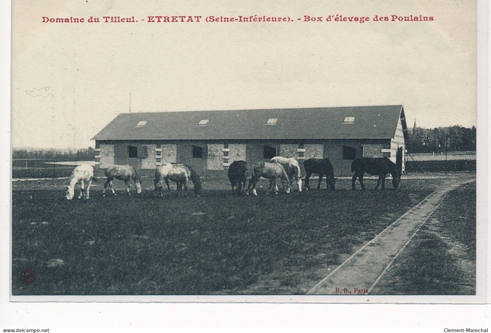 ETRETAT : Domaine Du Tilleul, Box D'elevage Des Poulains - Très Bon état - Etretat