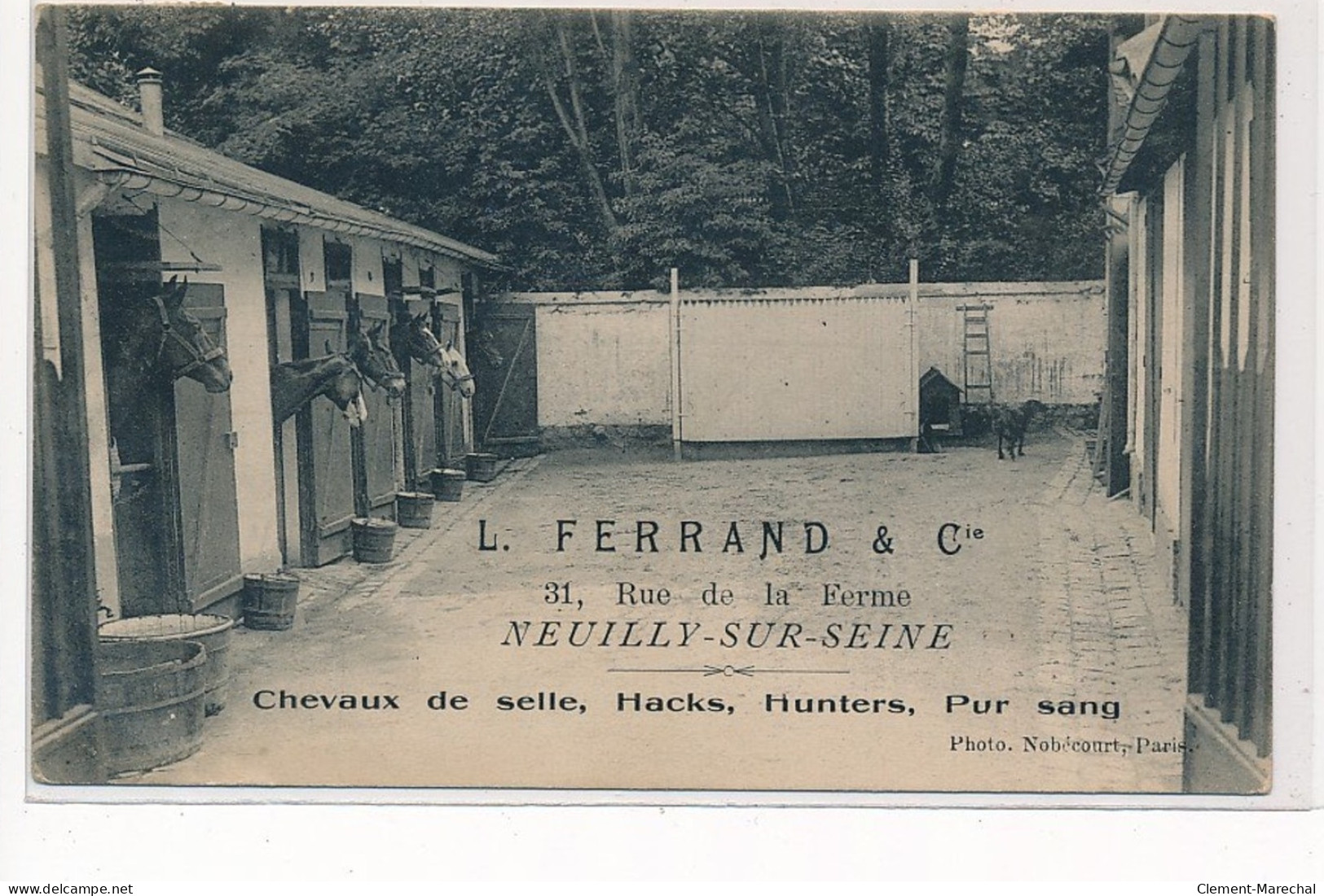 NEUILLY Sur SEINE : L. Ferrand & Cie, Chevaux De Selle, Hacks, Hunters, Pur Sang - Tres Bon Etat - Neuilly Sur Seine