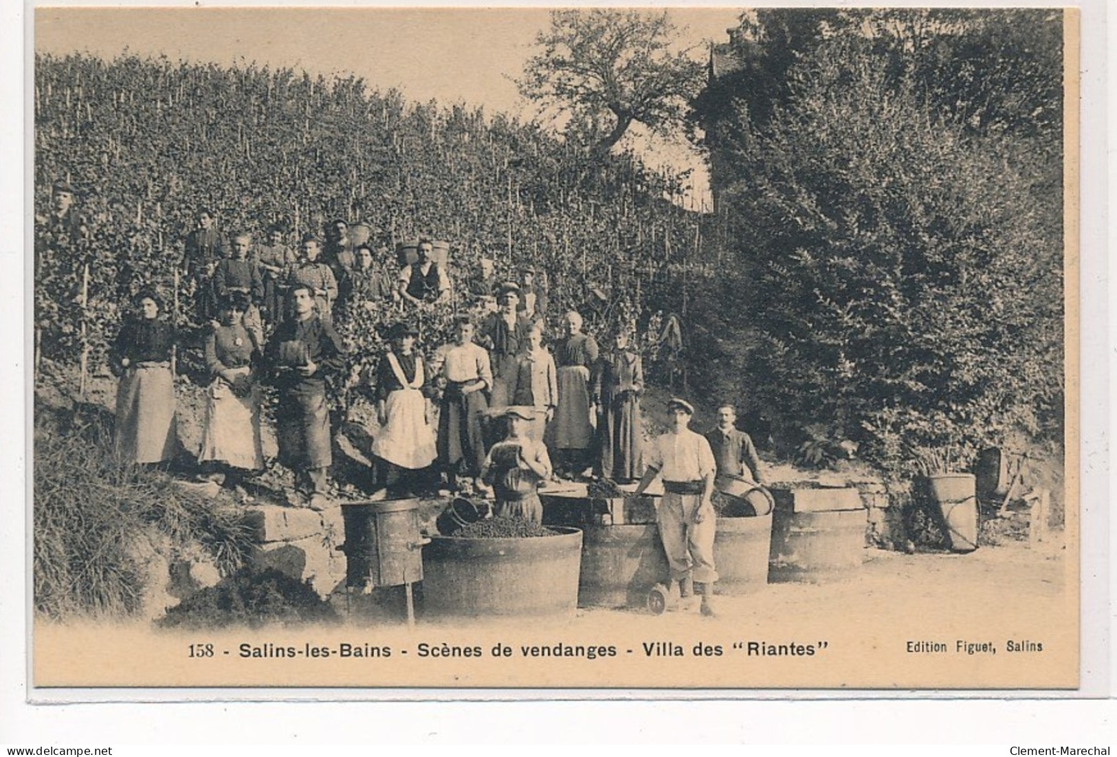 SALINS-les-BAINS : Scenes De Vendnges Villa Des Riantes - Tres Bon Etat - Other & Unclassified