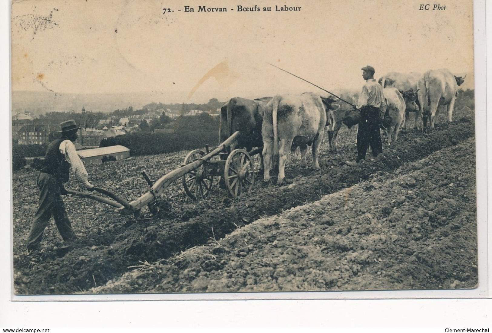 EN MORVAN : Boeufs Au Labour - Tres Bon Etat - Otros & Sin Clasificación