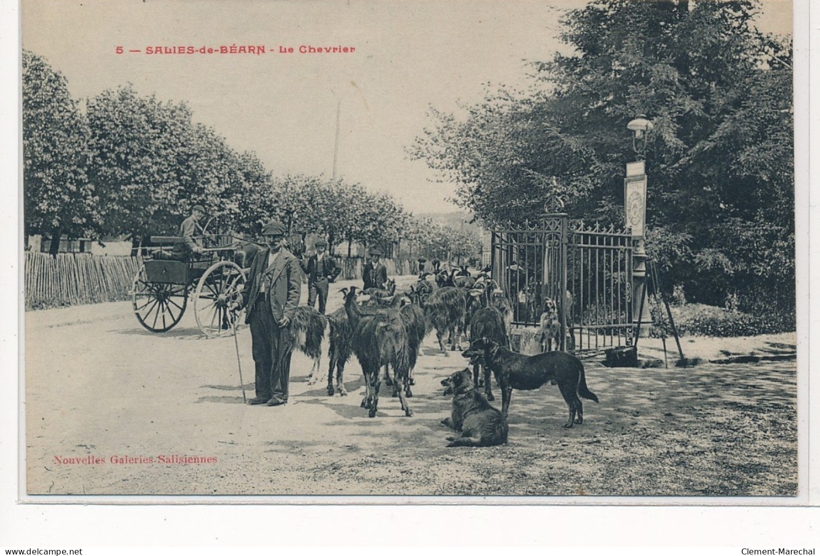 SALIES De BEARN : Le Chevrier - Tres Bon Etat - Salies De Bearn