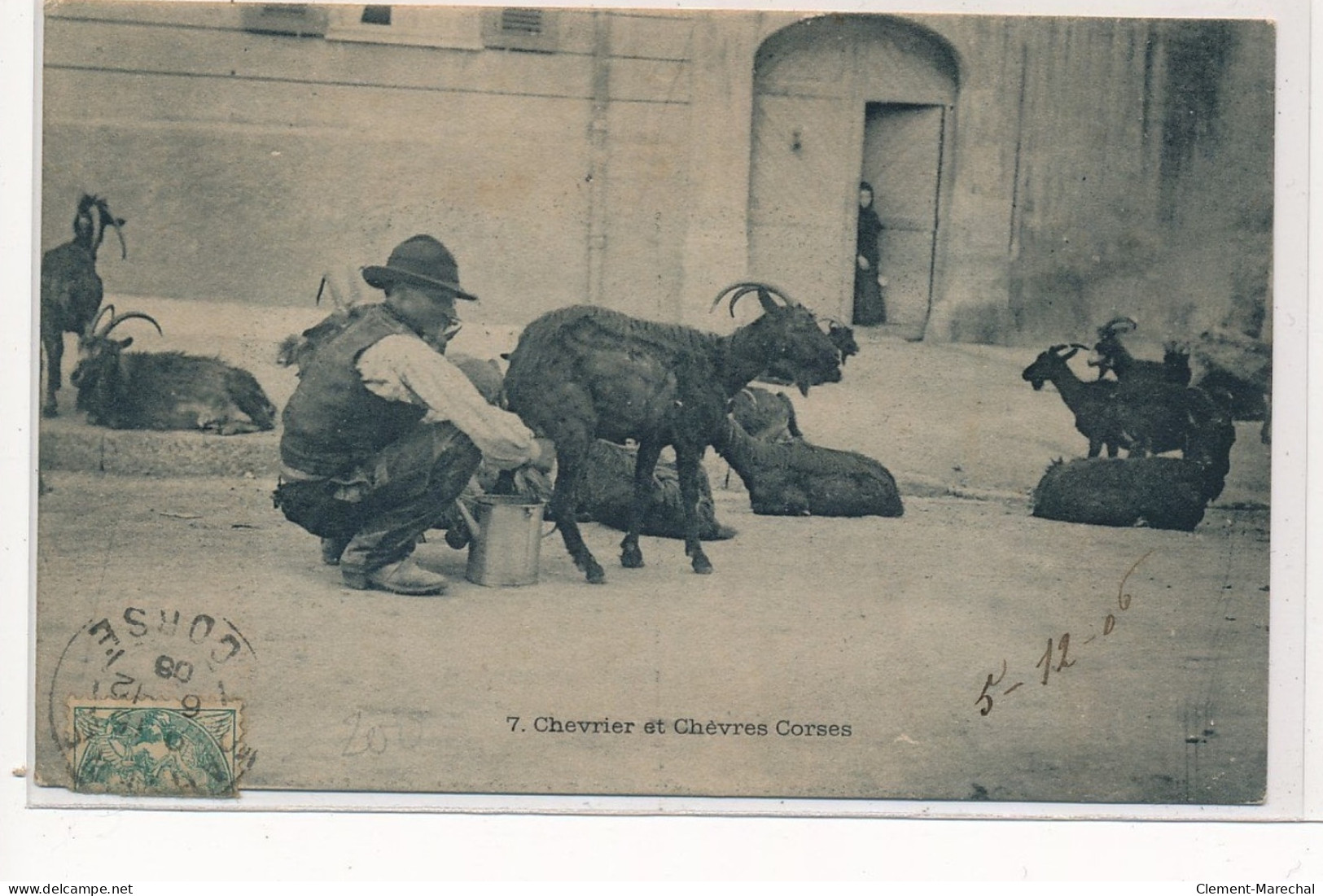 SARTENE : Chevrier Et Chèvres Corses - Tres Bon Etat - Sartene