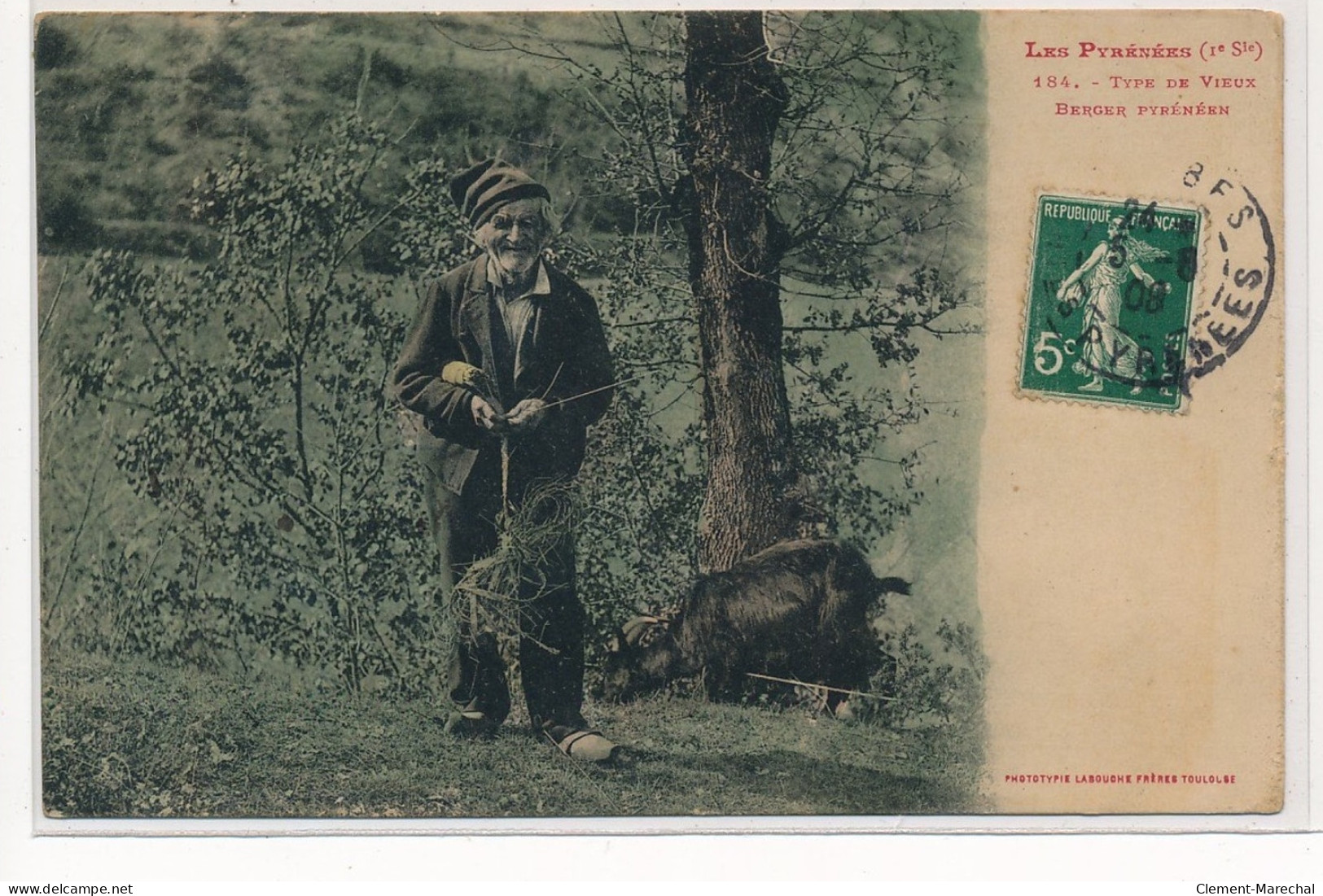 HAUTES PYRENEES : Type De Vieux Berger Pyreneen - Tres Bon Etat - Altri & Non Classificati