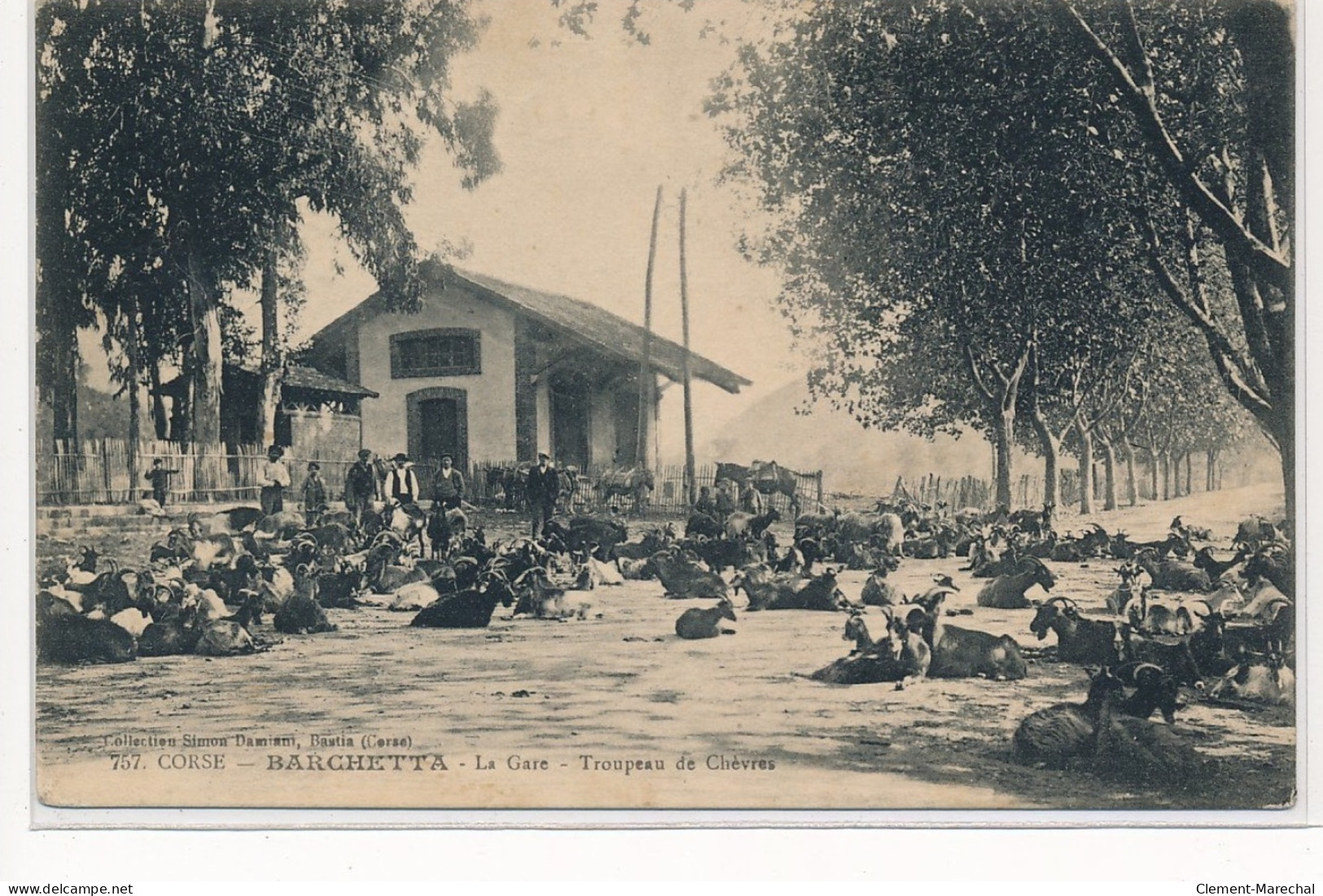 BARCHETTA : La Gare, Troupeau De Chèvres - Tres Bon Etat - Andere & Zonder Classificatie