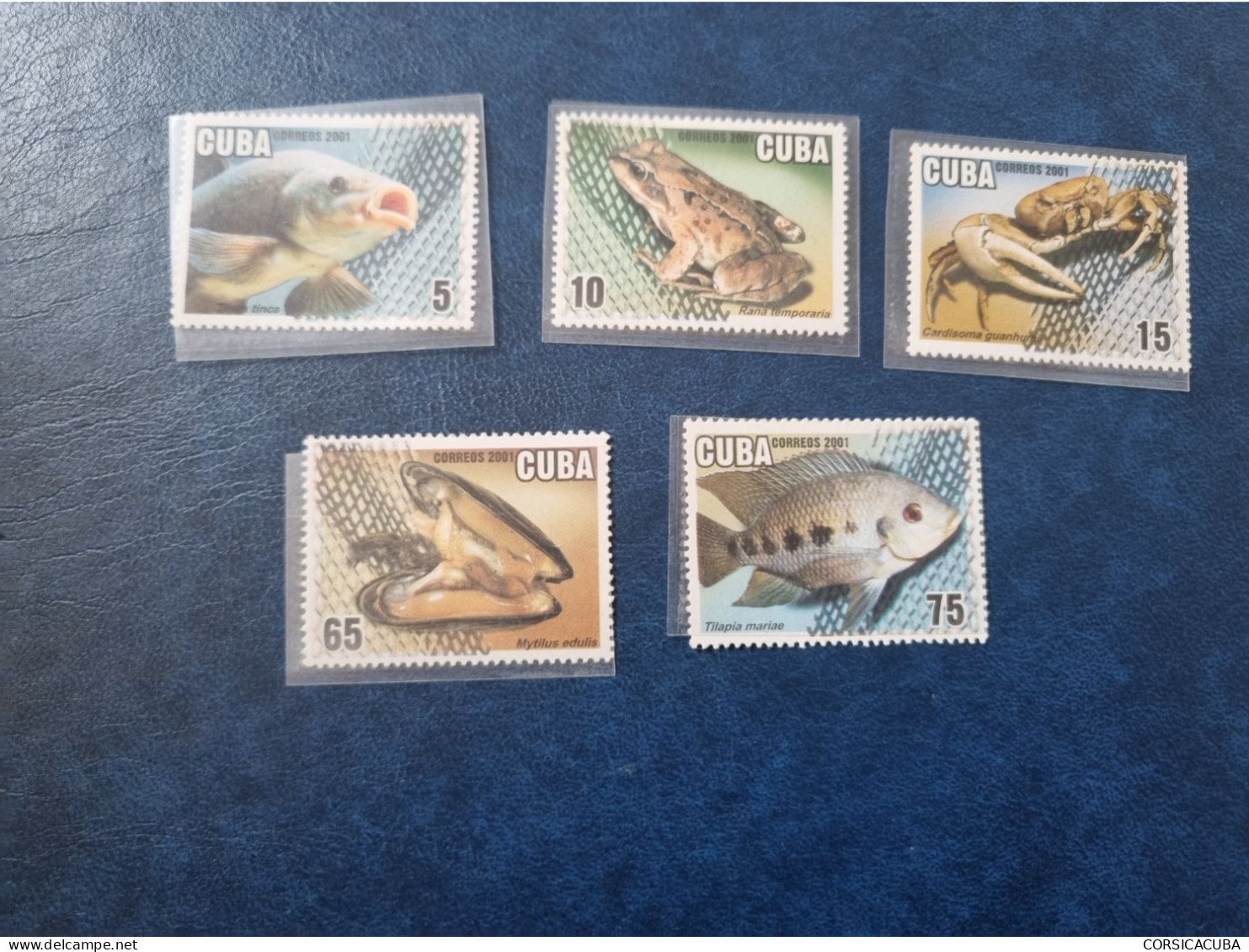 CUBA  NEUF  2001   ACUICULTURA //  PARFAIT  ETAT  //  1er  CHOIX  // - Unused Stamps