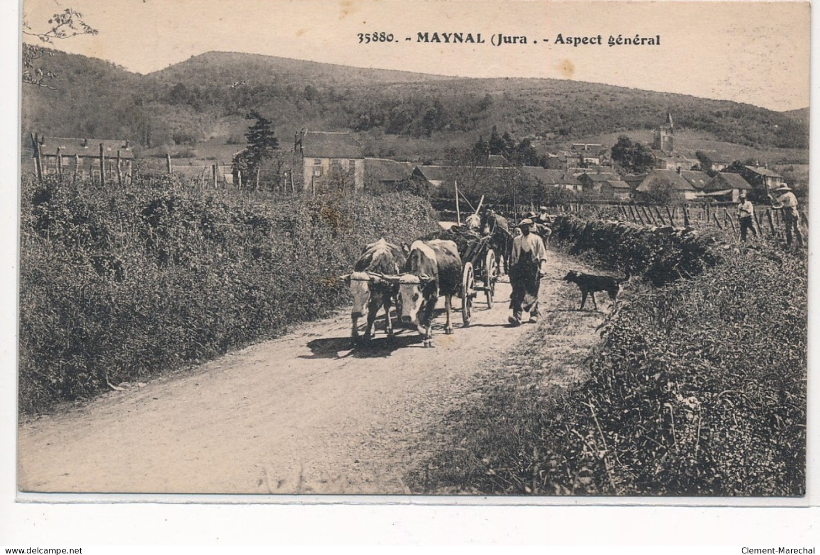 MAYNAL : Aspect Général, Attelage - Tres Bon Etat - Sonstige & Ohne Zuordnung