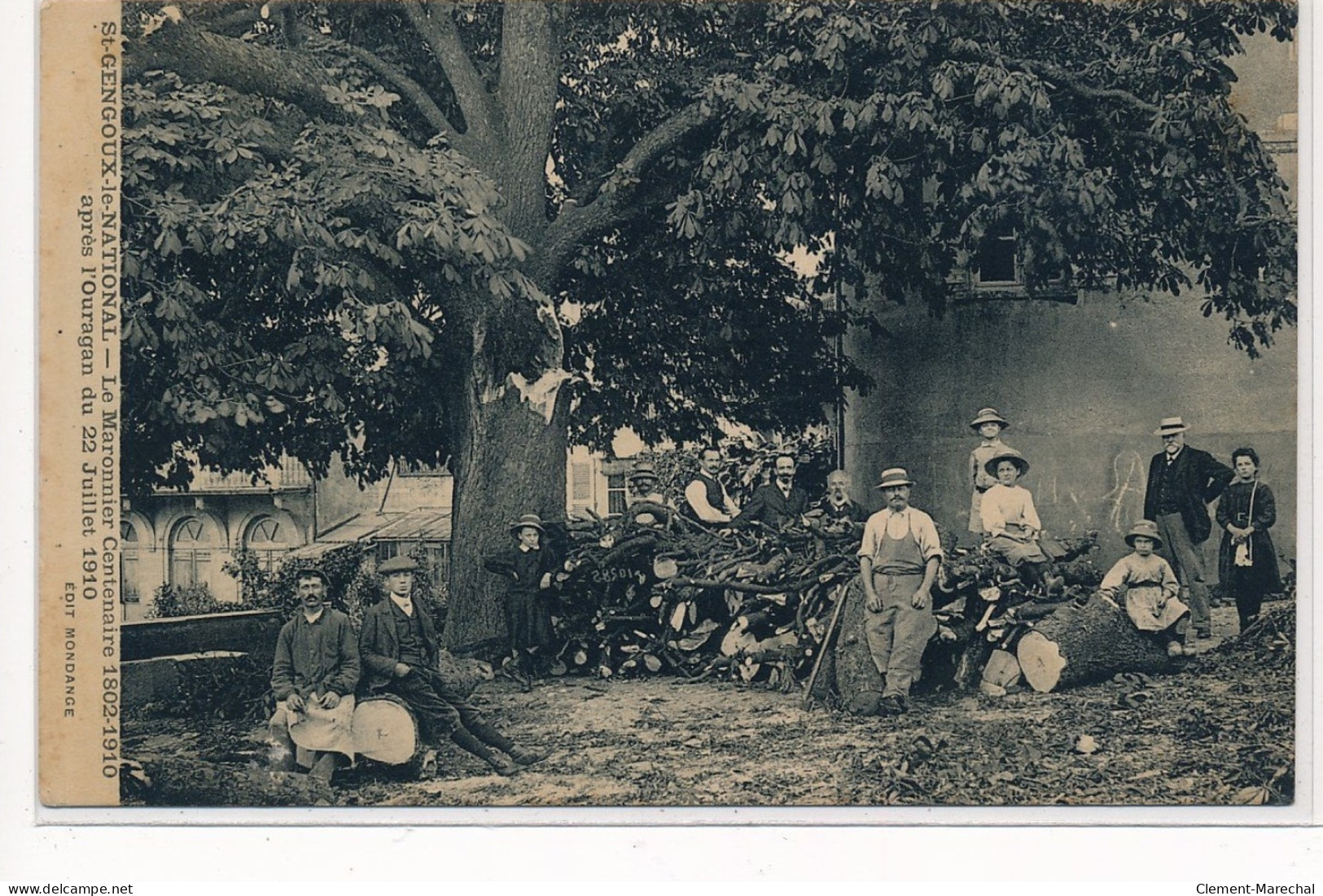 SAINT-GENOUX-le-NATIONAL : Le Maronnier Centenaire 1802-1910 Apres L'ouragan Du 22 Juillet 1910 - Tres Bon Etat - Autres & Non Classés